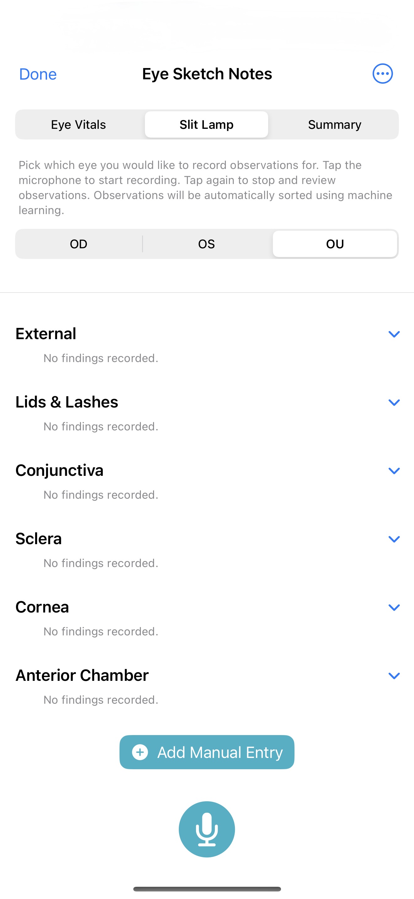 Dictation Interface